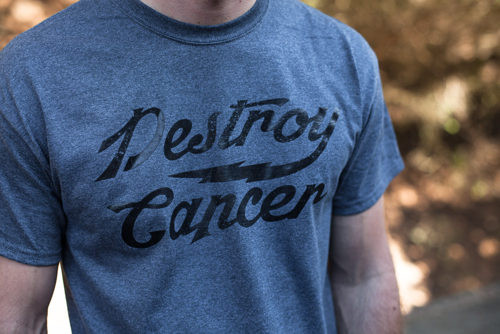 Destroy Cancer - Promises Kept shirt detail